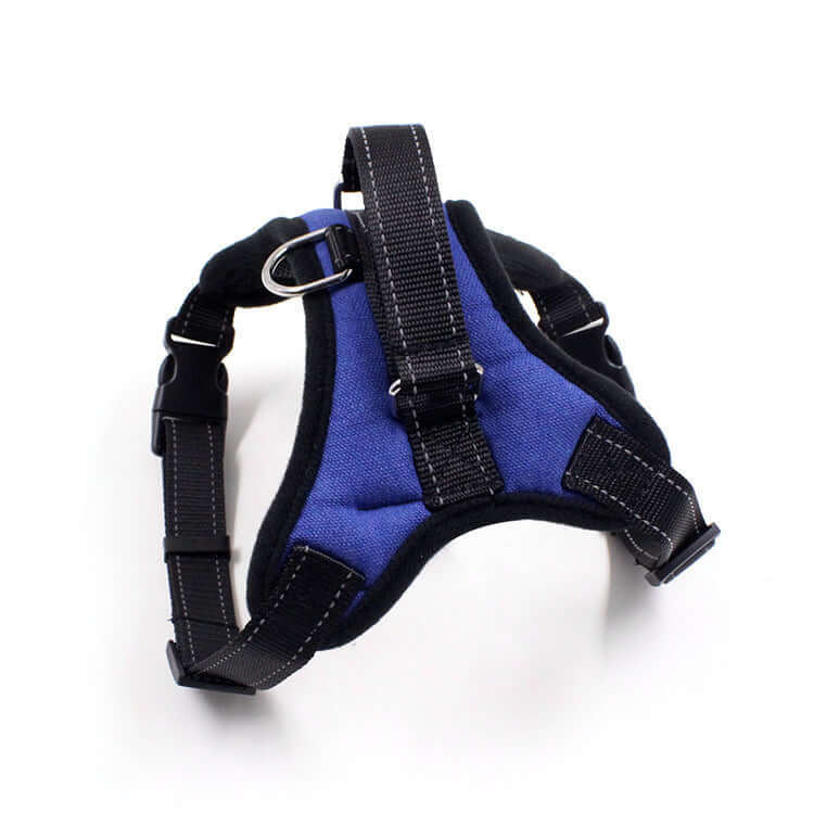 Harnais confortable et sécurisé pour chien et chat, idéal pour les promenades, en nylon respirant.