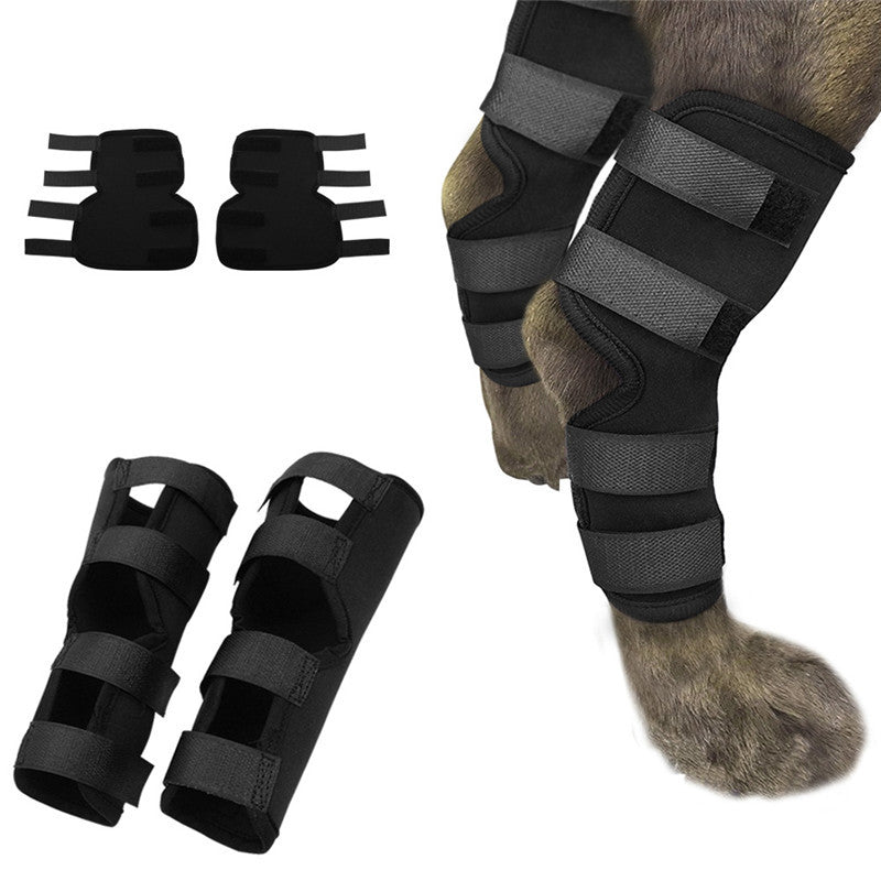Bandage Magique Anti-Léchage pour animaux, en néoprène, idéal pour la récupération des animaux de compagnie.