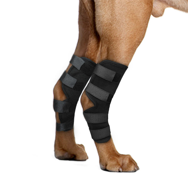 Bandage Magique Anti-Léchage en néoprène pour protection des pattes de chien pendant la récupération.