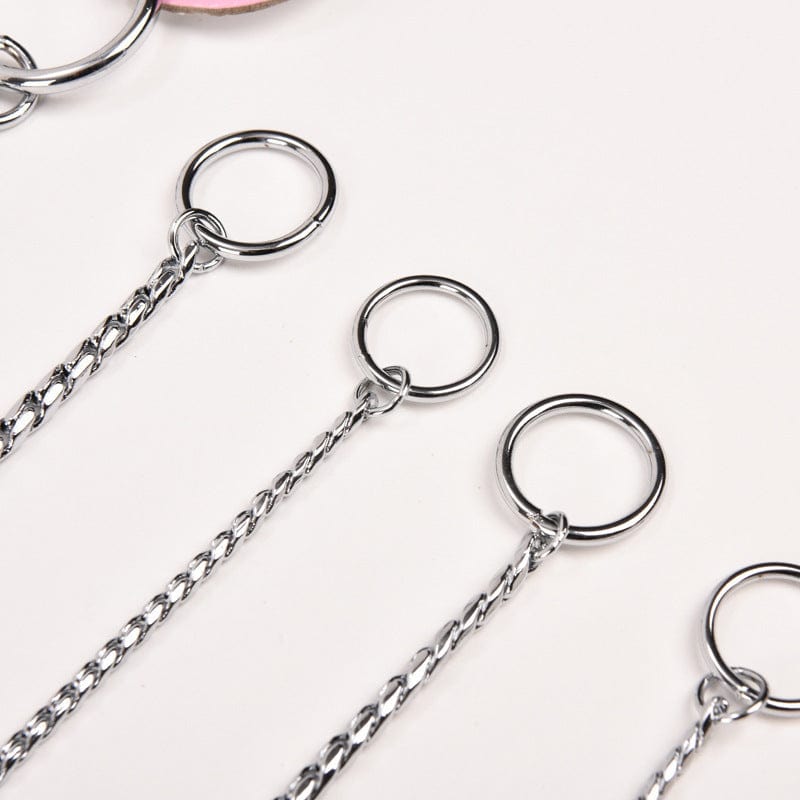 Chaîne en acier inoxydable P-chain, avec différents anneaux pour ajustement, idéale pour la sécurité des chiens.