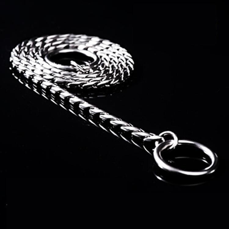 Chaîne en acier inoxydable P-chain pour chien, durable et adaptée aux passionnés d'animaux.