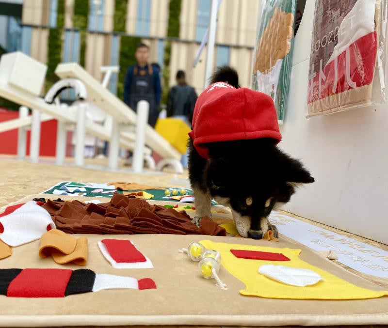 Tapis d'Entraînement pour Chiens - Jouet Anti-Ennui