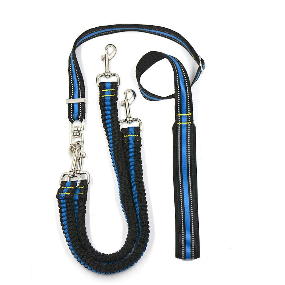 Laisse ajustable pour chien en nylon, design ergonomique, résistante et légère, idéale pour les promenades en plein air.
