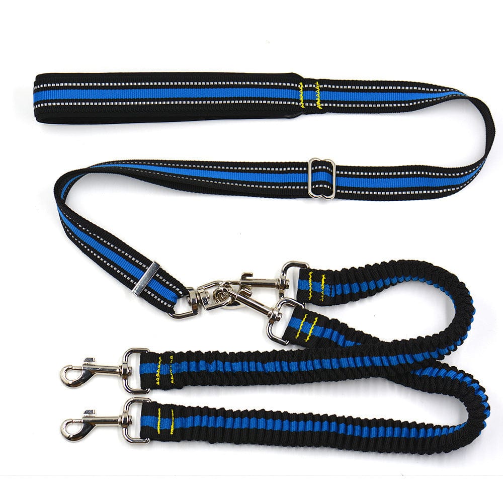 Laisse ajustable pour chien en nylon, idéale pour promenades sécurisées, avec design ergonomique et double traction.