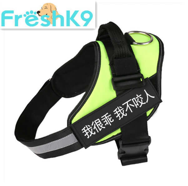 Harnais de poitrine en nylon durable pour chien, léger et confortable, idéal pour les promenades.