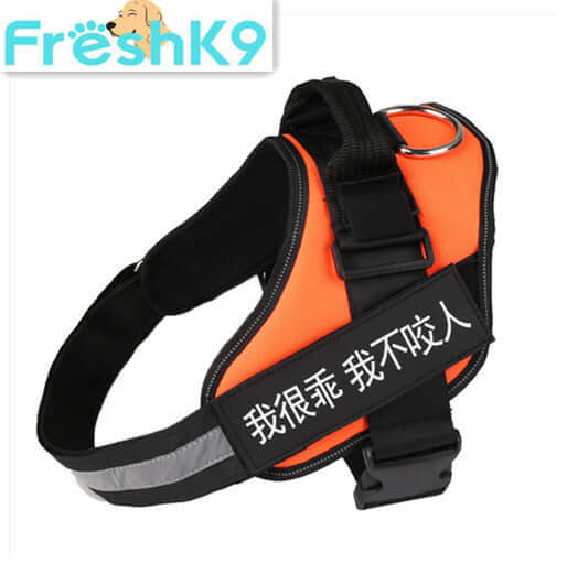 Harnais de poitrine pour chien en nylon orange, léger et sûr pour les promenades, avec attache réfléchissante.