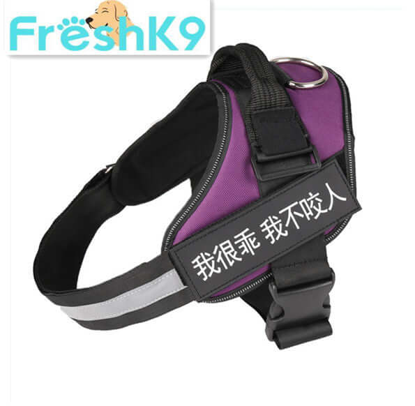 Harnais de poitrine en nylon pour chien, léger et durable, idéal pour les promenades en toute sécurité.