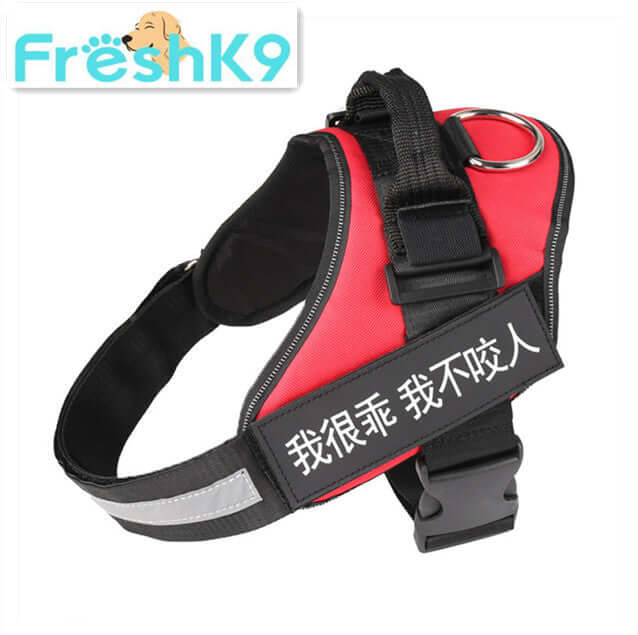 Harnais de poitrine en nylon rouge pour chien avec boucle réglable et inscription, idéal pour la sécurité et le confort.