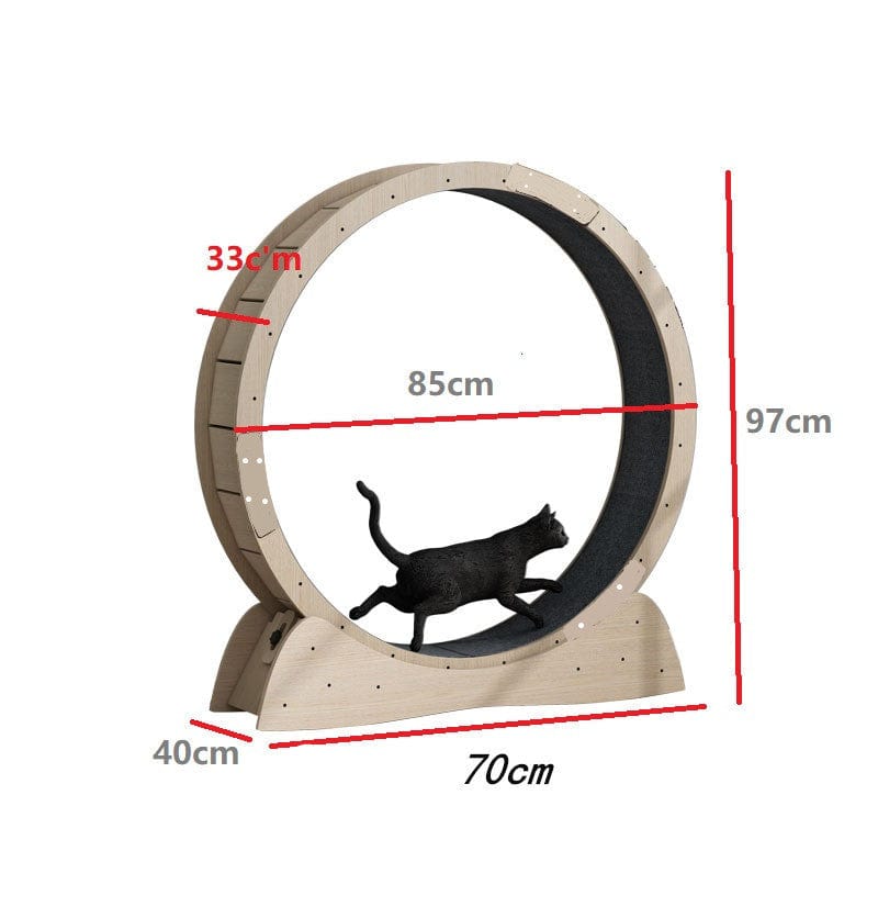 Tapis de course silencieux pour chats avec dimensions, favorisant l'exercice intérieur et le maintien du poids.