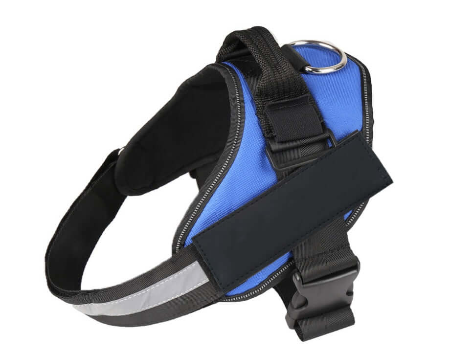 Harnais pour chien en nylon bleu avec boucle de sécurité et sangle ajustable pour un confort optimal.