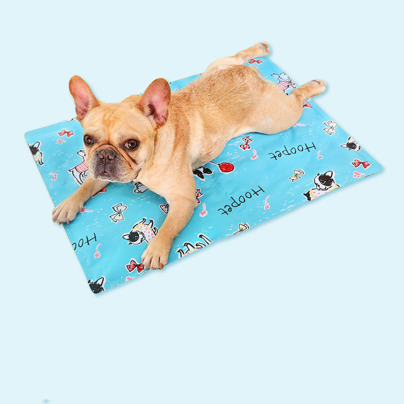 Tapis de Glace pour Chien