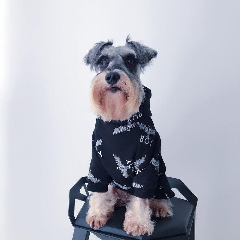 Mignon petit chien en pull noir avec motif imprimé, assis sur une chaise noire.