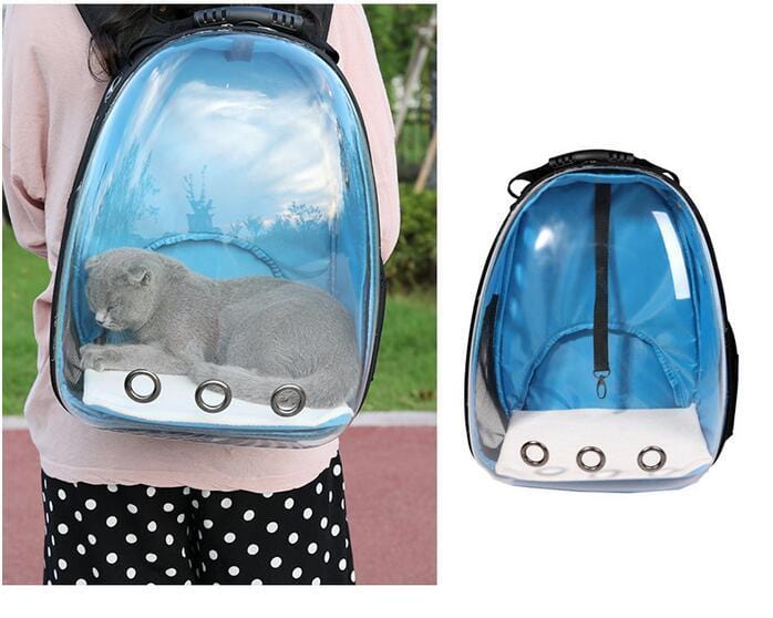 Sac à dos transparent pour animaux de compagnie avec un chat à l'intérieur, couleur bleue, idéal pour les sorties.