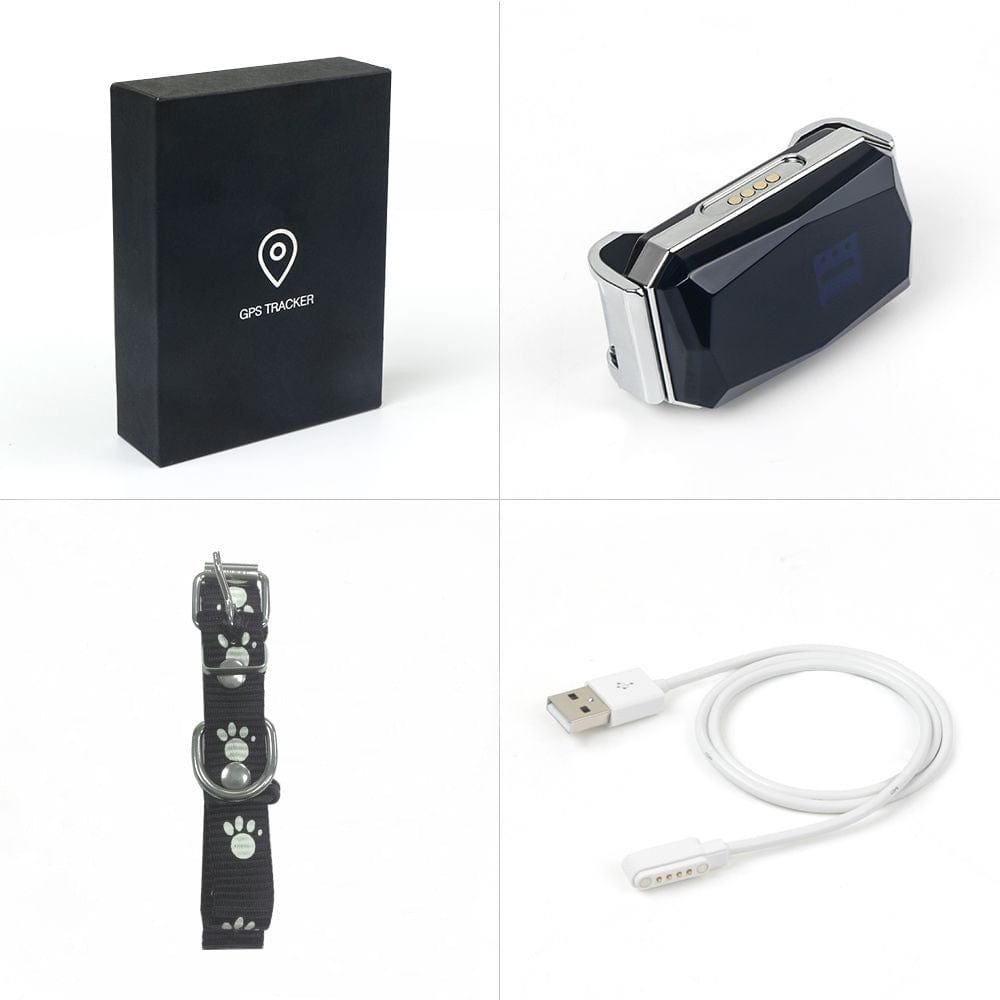 Traceur GPS multifonctionnel avec colis, collier pour chien, câble USB et accessoire pour suivi en temps réel.