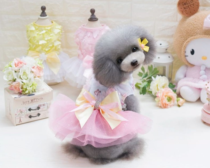 Chien Poodle en Robe Tutu Princesse, élégante avec un nœud, entouré d'autres vêtements pour animaux.
