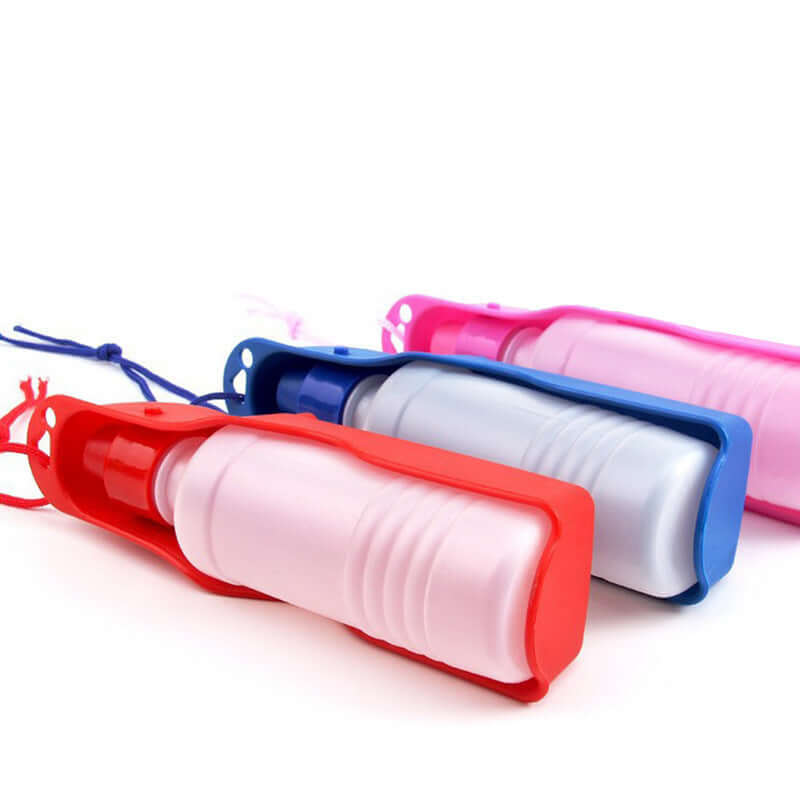 Kettle portable pour chien en résine durable, disponible en rouge, bleu et rose pour les animaux en déplacement.