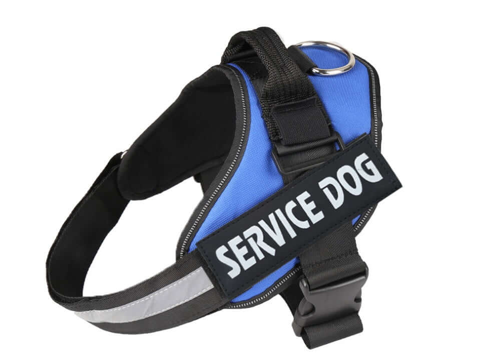Harnais bleu pour chien avec étiquette 'SERVICE DOG', conçu pour le confort et la sécurité des animaux de service.