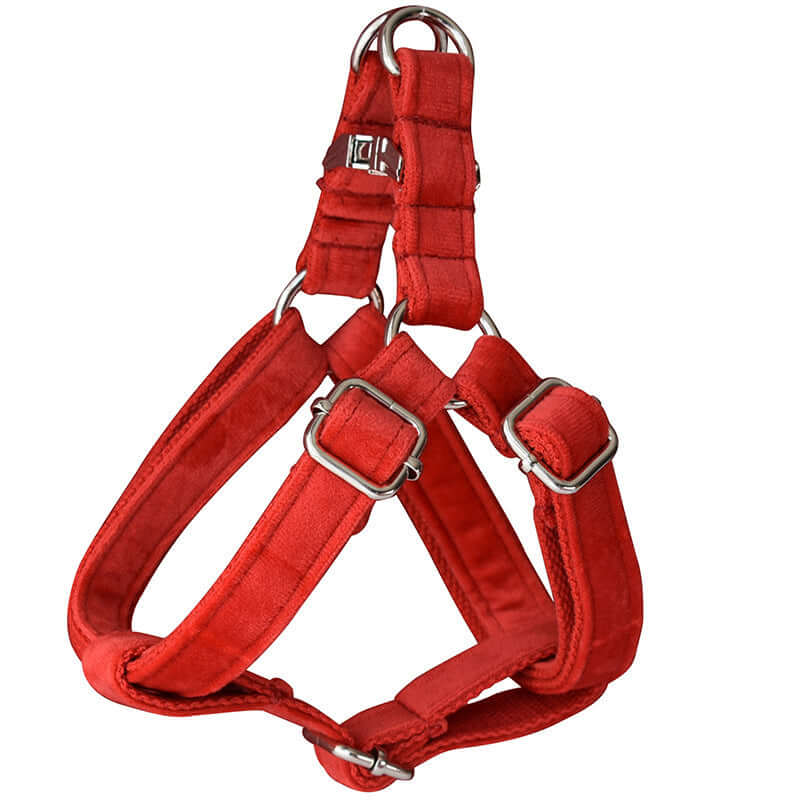 Harnais en flanelle rouge avec boucle dorée, conçu pour le confort et la durabilité des chiens.