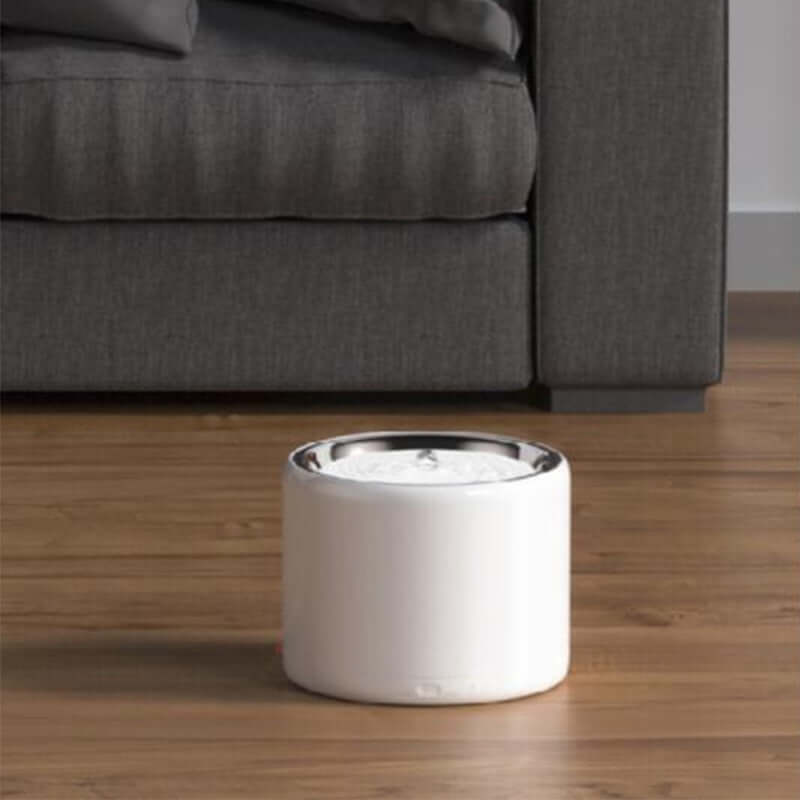 Distributeur d'eau en acier inoxydable pour animaux, élégant et durable, placé près d'un canapé.