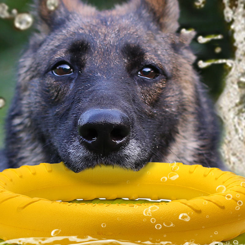 Jouet de Formation pour Chien en Anneau de Tir