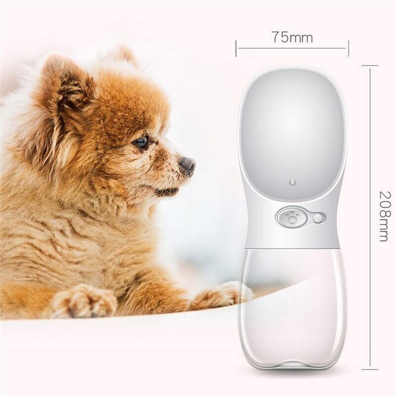Gourde d'eau portable pour animaux de compagnie, écologique et anti-bactérienne, avec un chien en arrière-plan.