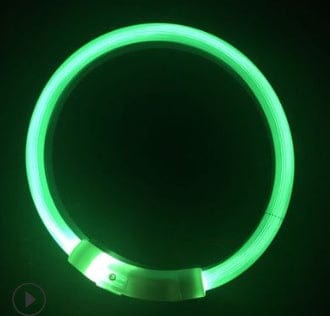 Collier LED lumineux vert pour chien, idéal pour la sécurité lors des promenades nocturnes.
