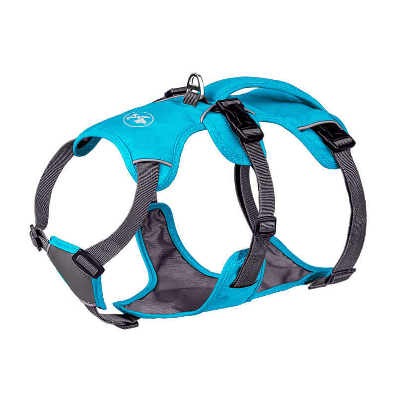 Harnais bleu pour chien avec corde de maintien, conçu pour le confort et la sécurité de votre animal.
