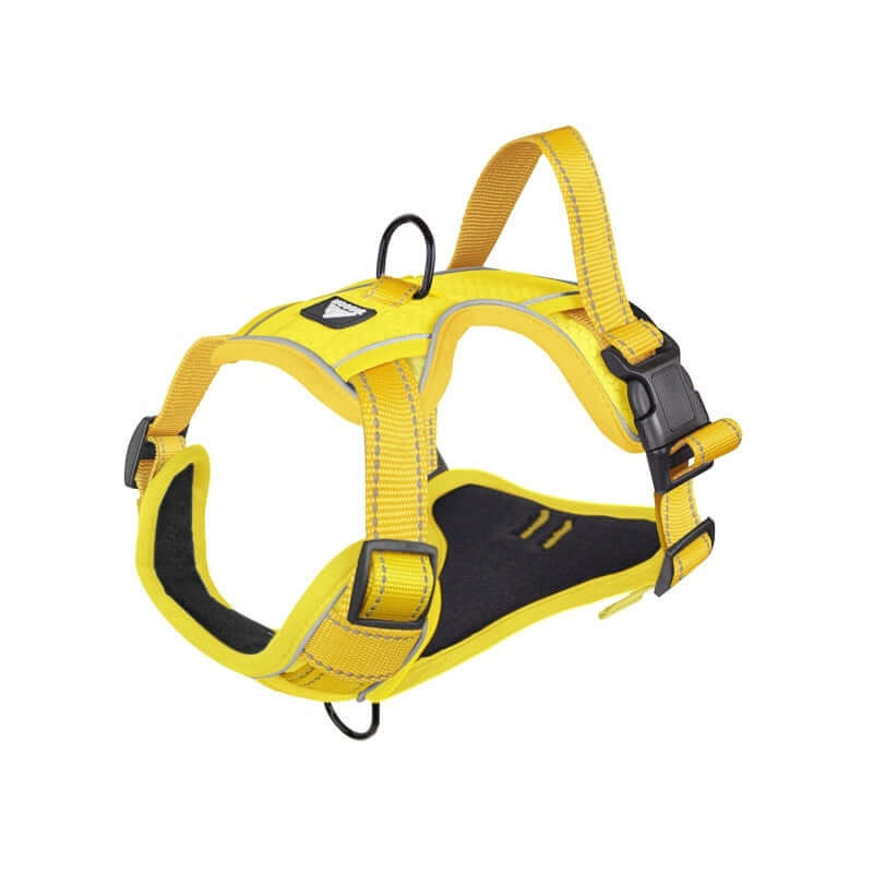 Harnais réfléchissant jaune pour chien, conçu pour sécurité et confort lors des sorties.