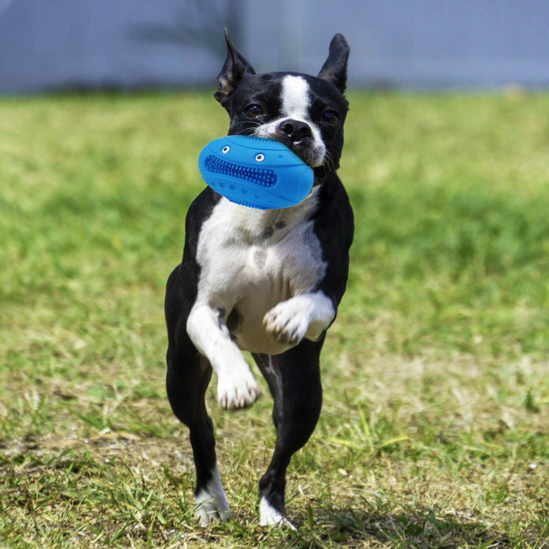 Jouet pour Chien en Caoutchouc Naturel - Rugby Vocal