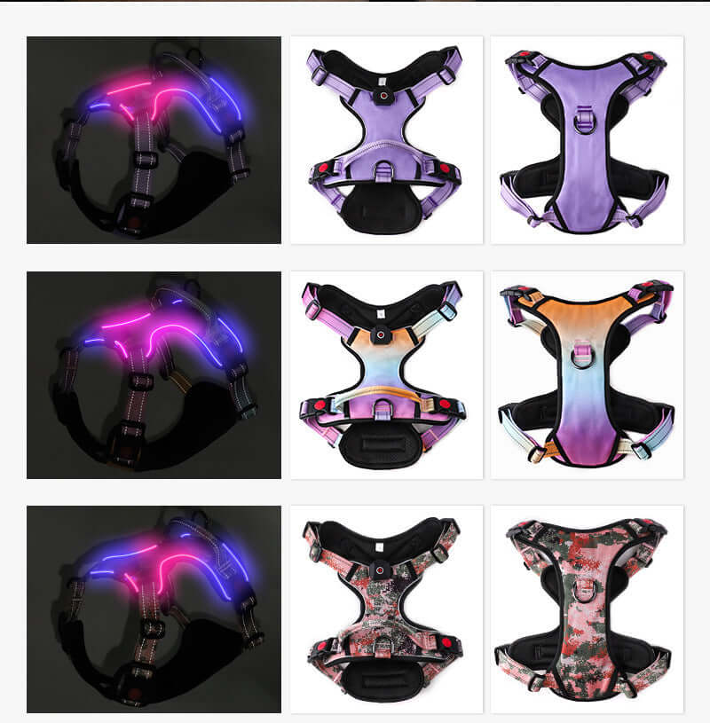 Harnais LED Luminieux Rechargeable pour chiens, disponible en violet, multicolore et camouflage pour la sécurité nocturne.