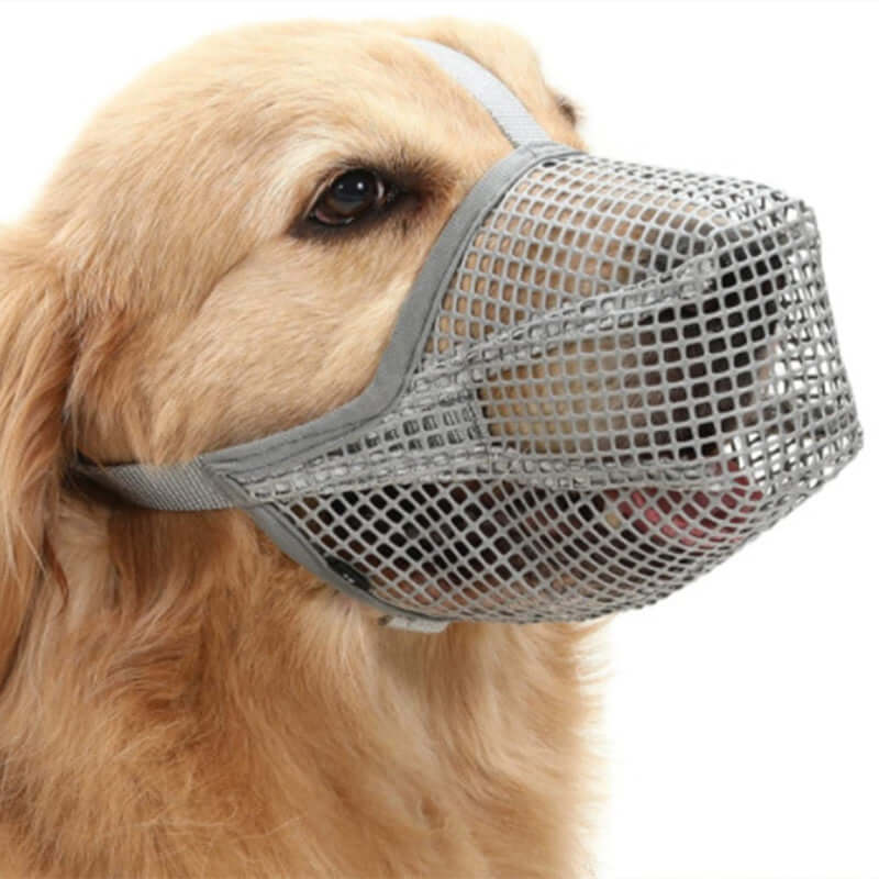 Masque de protection pour chien en gris, sécurisé et confortable, idéal pour sorties et forte chaleur.