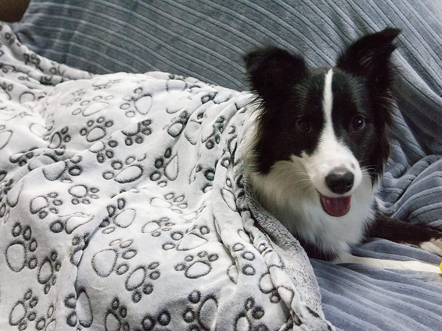 Couverture pour Chien en Flanelle à Motifs de Fleurs