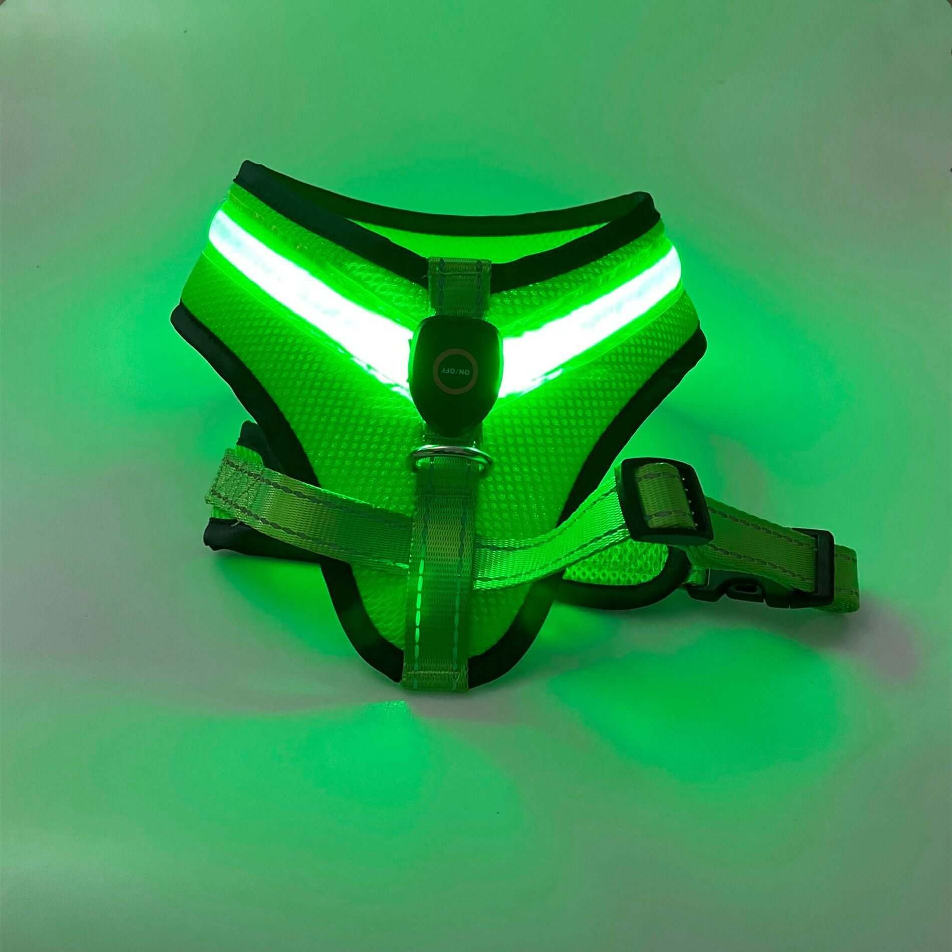Harnais LED Luminieux pour Chien, rechargeable USB, sécurité nocturne, accessoire pour animaux.