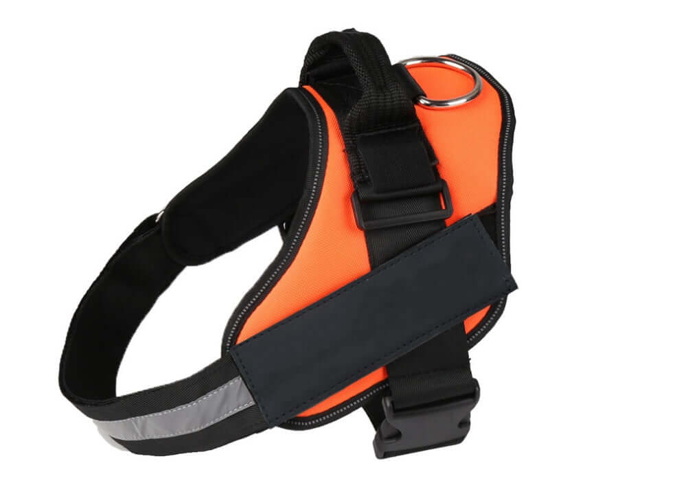 Harnais pour chien en nylon orange avec détail noir, sécurisé et confortable pour les promenades et randonnées.