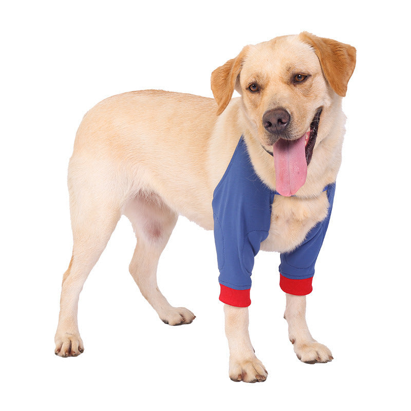 Chien heureux portant un pull bleu avec manches rouges, idéal pour le confort et la protection animale.