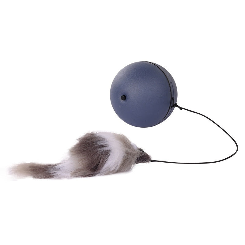 Balle Teaser Électrique pour Chats et Chiens