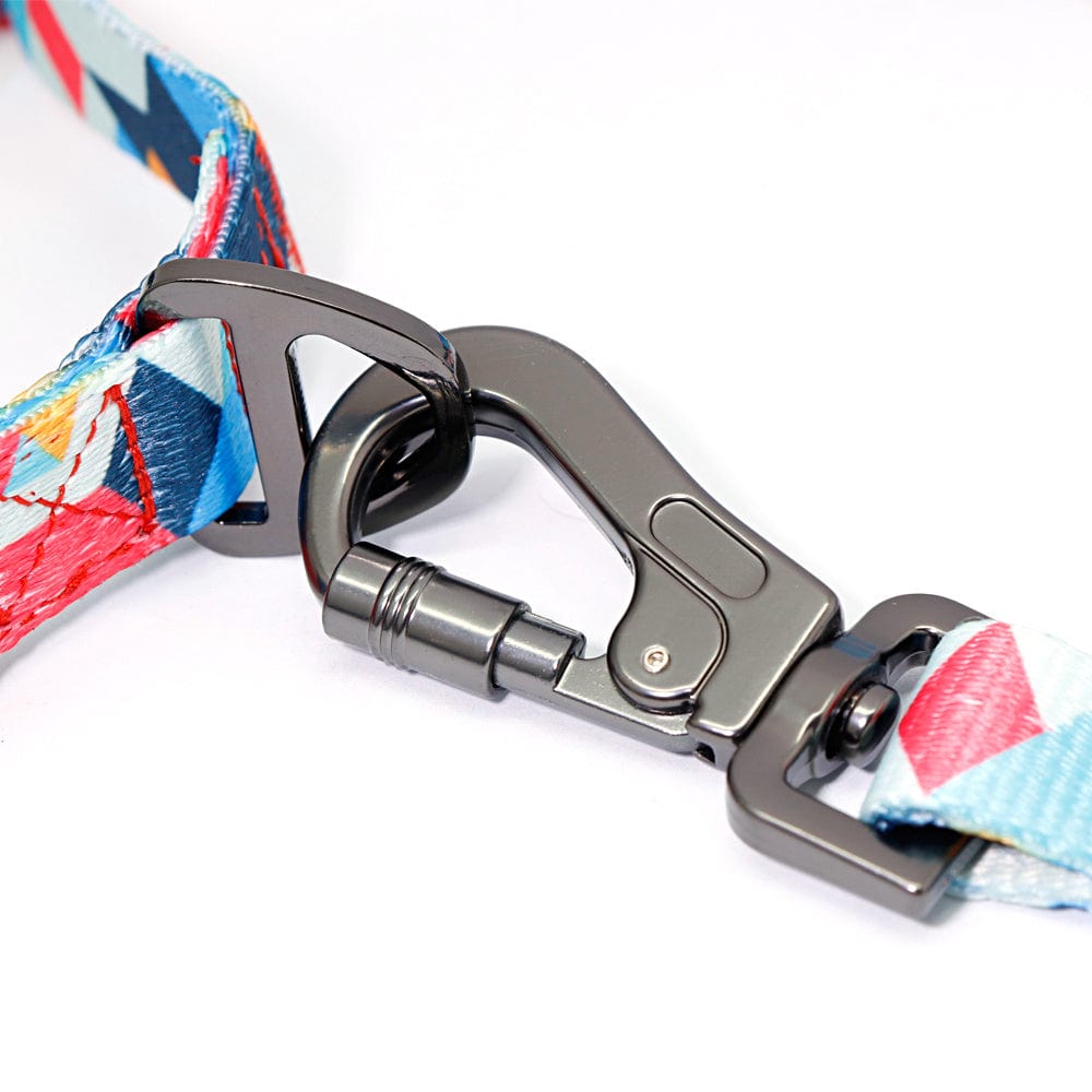 Gros plan sur un clip de laisse pour chien coloré, conçu pour une connexion sécurisée et durable.