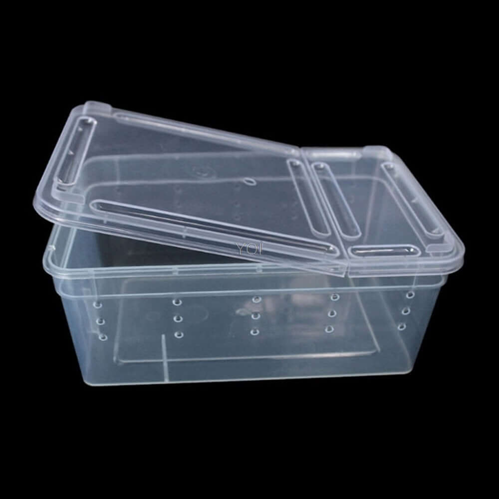 Boîte de nourriture transparente pour reptiles, idéale pour le transport et l'élevage des animaux.
