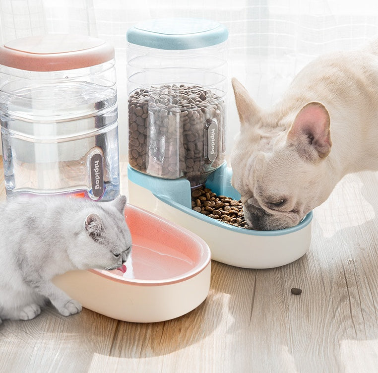 Distributeur Automatique pour Chiens avec Fontaine d'Extraction