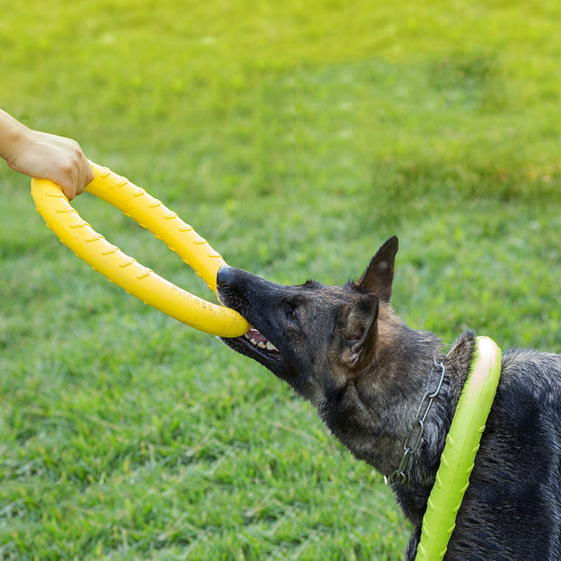 Jouet de Formation pour Chien en Anneau de Tir