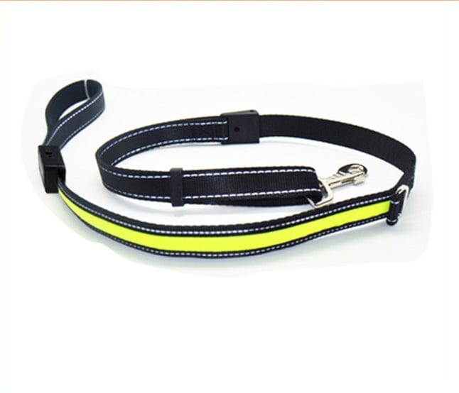 Collier de chien fluorescent en nylon avec clip, idéal pour la sécurité et visibilité lors des promenades nocturnes.