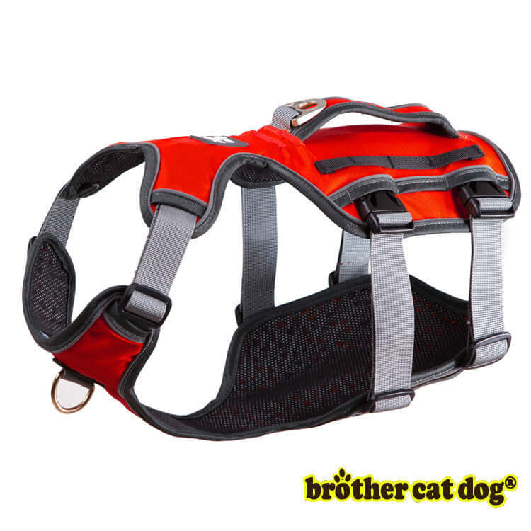 Harnais de sécurité pour chien en rouge, conçu pour un confort optimal et la durabilité, avec des détails en mesh.