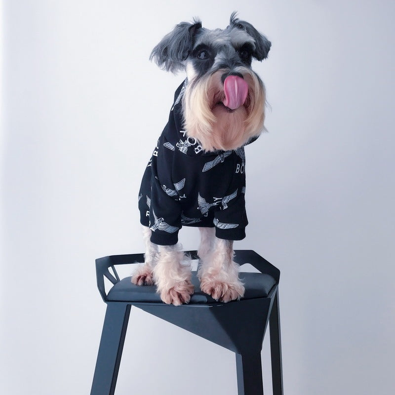 Chien portant un pull d'hiver en coton noir, se tenant sur un tabouret, montrant son langage.