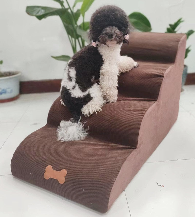Chien sur une échelle amovible et lavable, offrant un accès facile et sécurisé pour petits chiens.