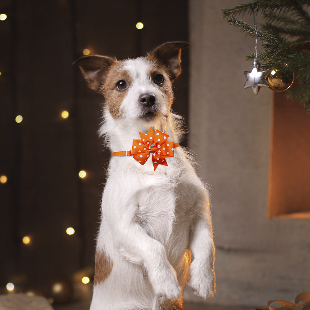 Chien debout portant un nœud papillon orange, parfait pour les fêtes, avec des lumières en arrière-plan.