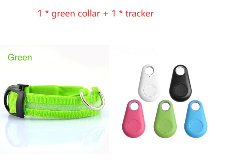 Collier vert pour chien avec tracker, disponible en plusieurs couleurs pour assurer la sécurité lors des promenades.