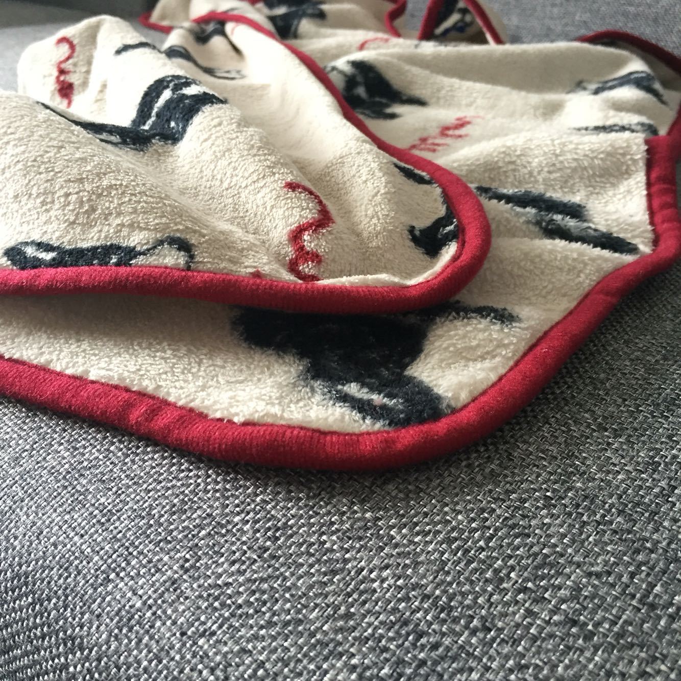 Couverture Farley Mignonne en Velours Corail