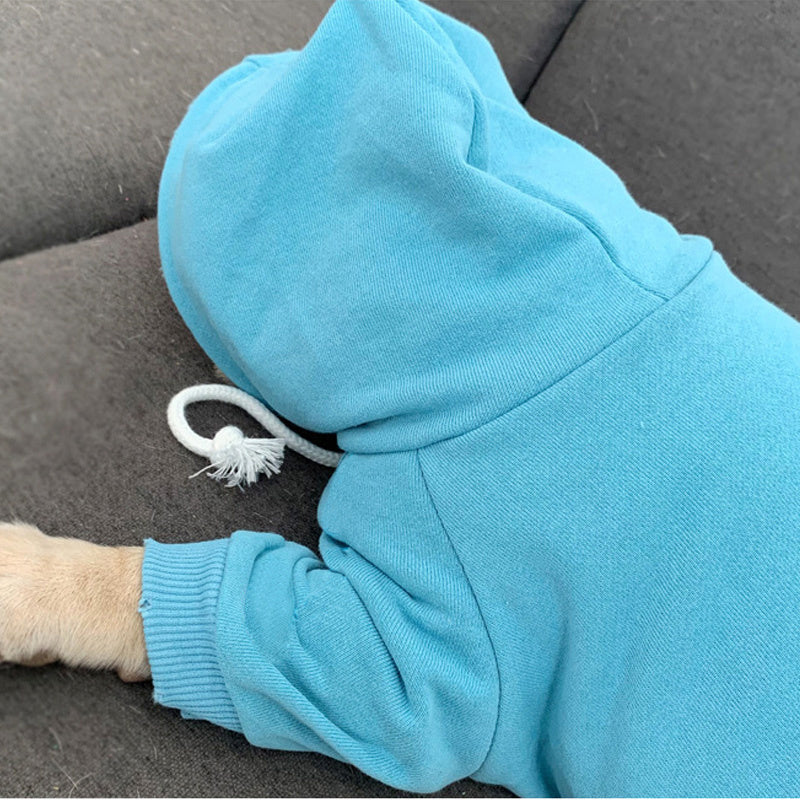 Hoodie en fleece bleu pour animaux, offrant confort et style pour les temps frais.