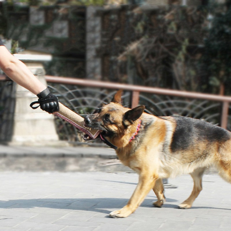 Bâton d'Entrainement pour Chiens à Mordre