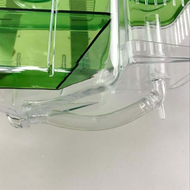 Boîte d'isolement pour poissons avec design transparent et détails en vert, idéale pour Guppy et combattants.